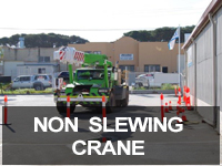 Non Slewing Crane